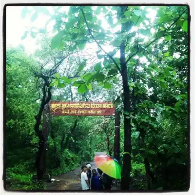 Tour Group standing under umbrellas at Mahuli Fort welcome archway in monsoon forest